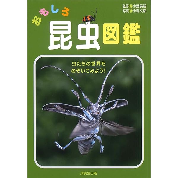 古い昆虫図鑑 おもしろ昆虫図鑑 | 小野 展嗣, 小堀 文彦 |本 | 通販 | Amazon